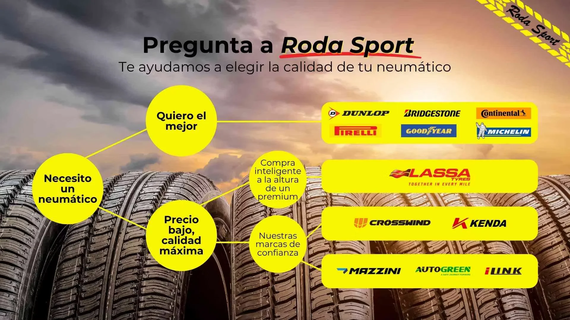 Asesoramiento profesional en Rodasport